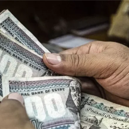 20 شركة تقدم العمل عن بعد برواتب تزيد عن 100 ألف دولار هدية الحكومة : قبض 1000 جنيه لهذه الفئة بعد ساعات بعد قرار الرئيس السيسي تعرف علي اماكن الصرف والوقت المحدد