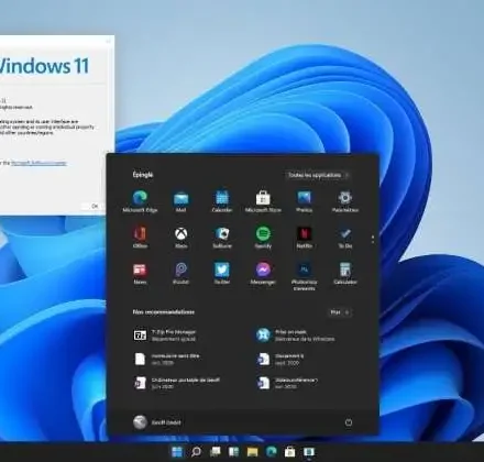 Windows-11