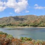 Invasive Golden Mussels Threaten Southern California's Lake Ecosystems