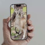 Spatial Scene Not Working on iOS 18? Here's How to Fix It
