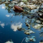 How a Fleet of Specialized Robots is Battling Ocean Plastic Pollution