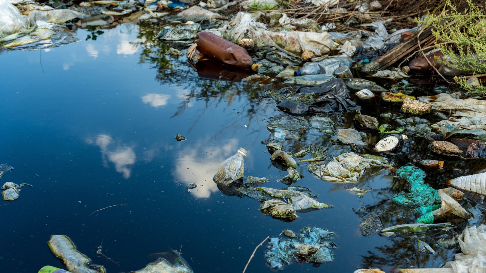 How a Fleet of Specialized Robots is Battling Ocean Plastic Pollution