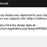 How to Fix Roblox Memory Dump Captured Error