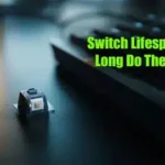How Long Do Keyboards Actually Last? A Complete Guide to Lifespan and Durability