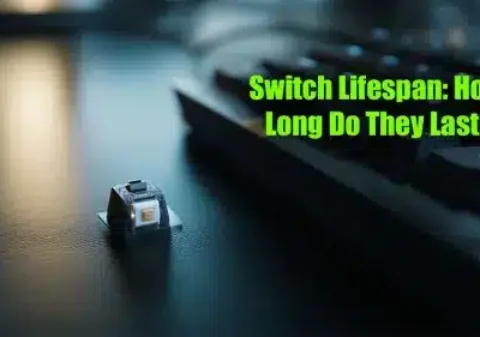 How Long Do Keyboards Actually Last? A Complete Guide to Lifespan and Durability